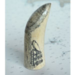 "The Whaler" Tooth Scrimshaw